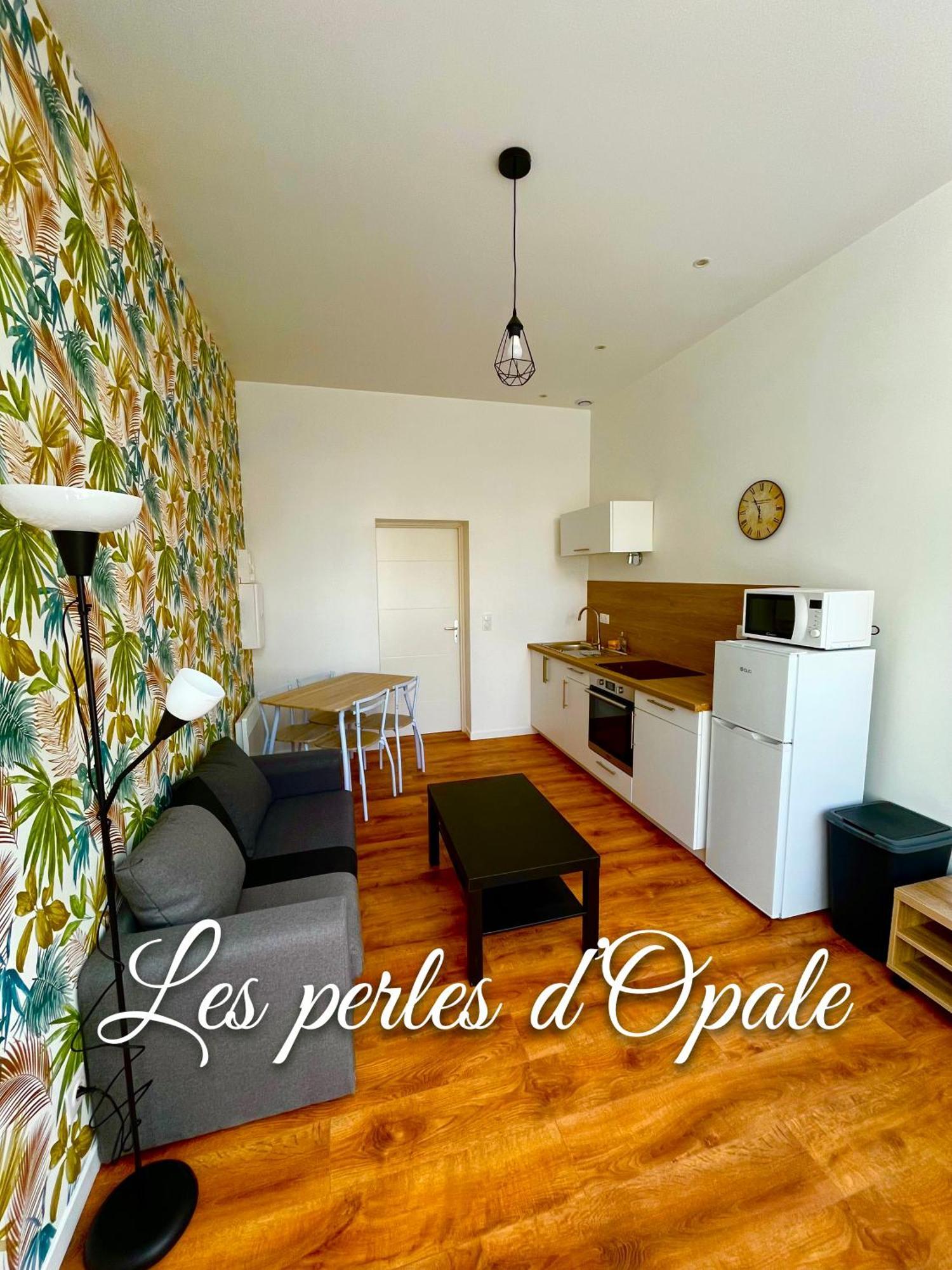 Les Perles D'opale - Le Petit Sable - Hyper Centre Appartement